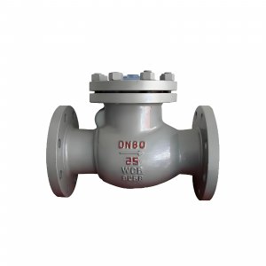 DN50 PN25 介質(zhì)：甲胺，溫度：80℃止回閥